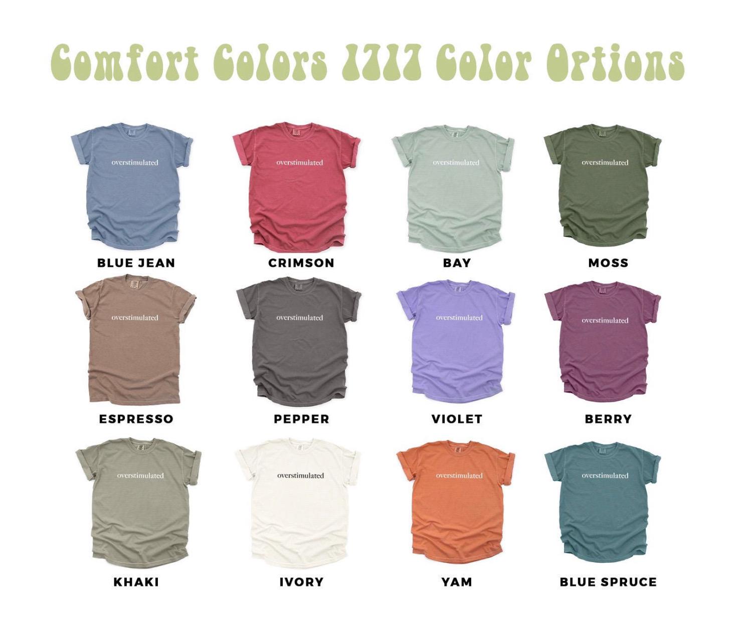 Cowboy Frog Embroidered Sweatshirt: Overstimulated Funny ADHD Meme Shirt