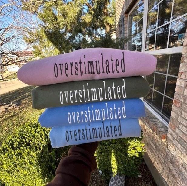 Overstimulated Embroidered T-Shirt - Comfort Colors - Funny Slogan Tee